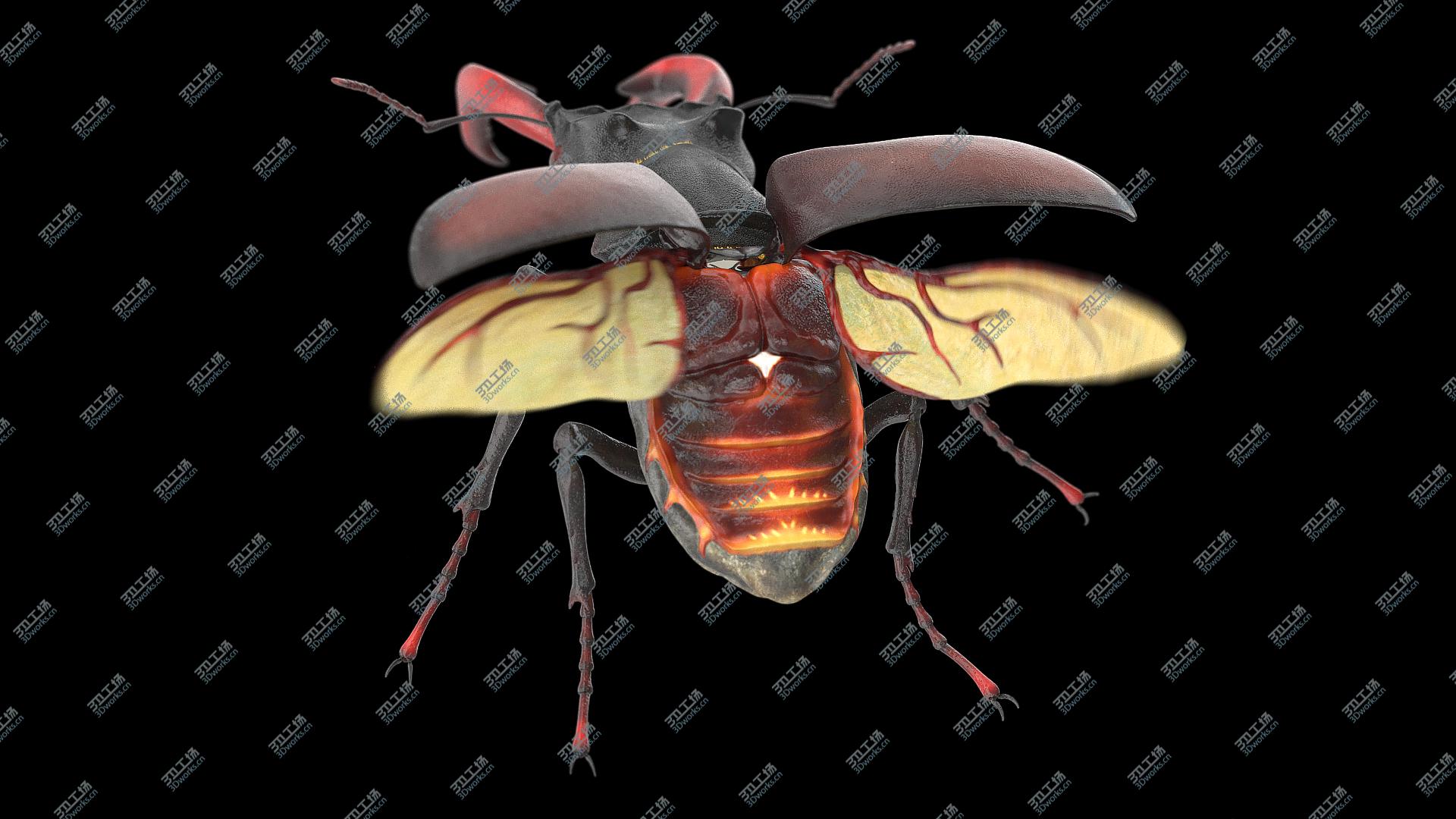 images/goods_img/2021040164/3D Lucanus Cervus Stag Beetle Flying with Fur/5.jpg